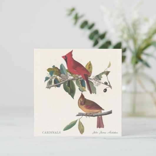 Cardinals by John James Audubon (スタンド正面)