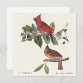 Cardinals by John James Audubon (正面/裏面)