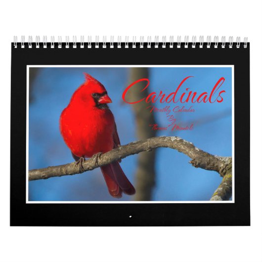 Cardinals Monthly Calendar By Thomas Minutolo カレンダー (カバー)