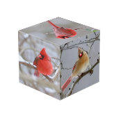 Cardinals_Photo_Cube フォトキューブ (裏面アングル)