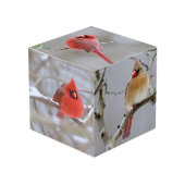 Cardinals_Photo_Cube フォトキューブ (正面アングル)