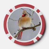  Cardinals_Poker_Chips  ポーカーチップ (裏面)