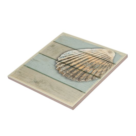 Carditaの貝 タイル (側面)