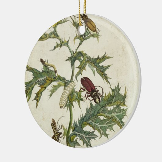 Cardos Spinosus: カブトムシおよび幼虫のプレート6 セラミックオーナメント (左)