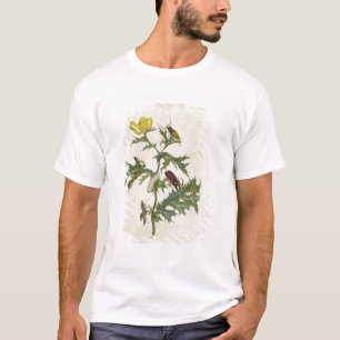Cardos Spinosus: カブトムシおよび幼虫のプレート6 Tシャツ
