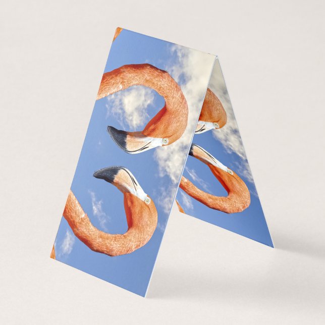 Caribbean flamingo love heart (正面)