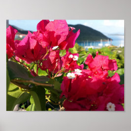 Caribbean Pink Bougainvillea Island Life ポスター
