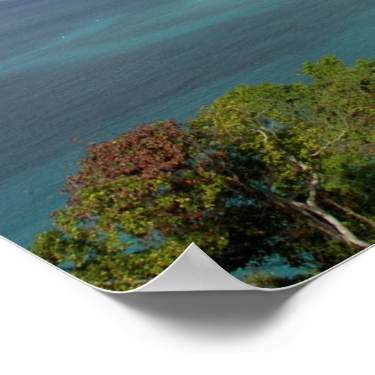 Caribbean, U.S. Virgin Islands, St. John, Trunk 3 ポスター (角)