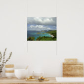 Caribbean, U.S. Virgin Islands, St. John, Trunk 3 ポスター (キッチン)