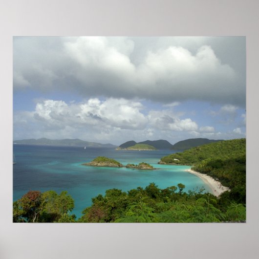 Caribbean, U.S. Virgin Islands, St. John, Trunk 3 ポスター (正面)