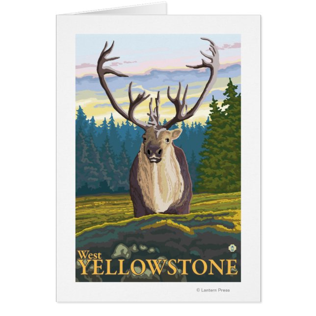 Caribou in the Wild – 西イエローストーンMT (正面)