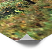 Caribou or Reindeer | Denali National Park, Alaska ポスター (角)