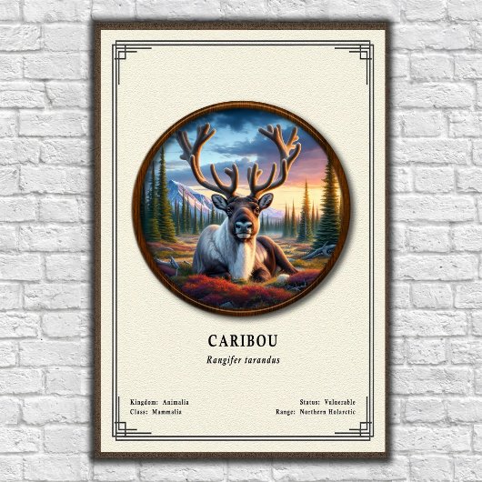 Caribou Zoology Series ポスター