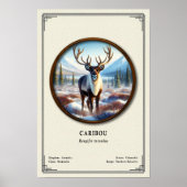 Caribou Zoology Series ポスター (正面)