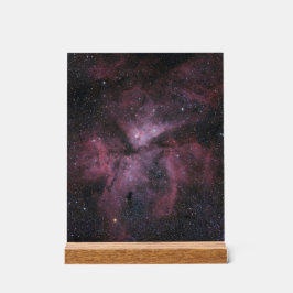 Carina Nebula アクリルサイン