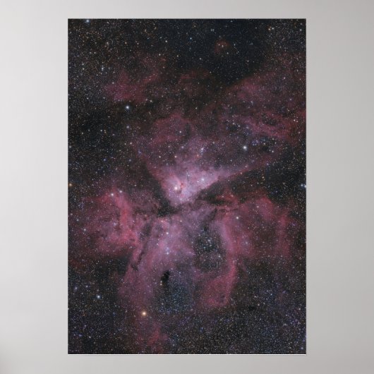 Carina Nebula ポスター (正面)