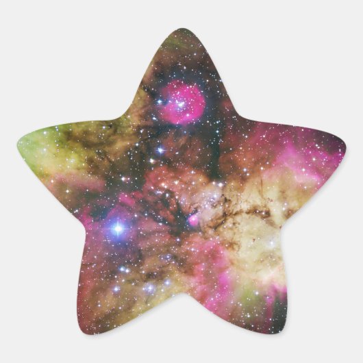 Carina Nebula – 息をのむような宇宙 星シール (正面)