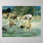 Carmargue Horse Portrait ポスター (正面)