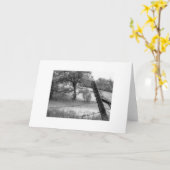 Carmelの谷のオークの木 カード (黄色い花)