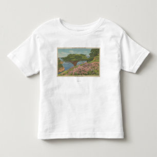 Carmel湾、カリフォルニア- "古い退役軍人"の木の眺め トドラーTシャツ