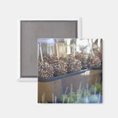 Carmel apple, Pioneer Square，シアトル， マグネット (正面/裏面)