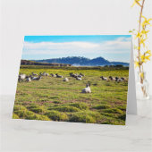 CARMEL RAMSジャンボグリーティングカード カード (黄色い花)