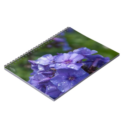 Carnet fleur violet avec la rosée du matin ノートブック (左側)