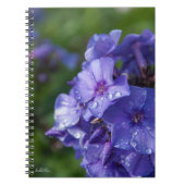 Carnet fleur violet avec la rosée du matin ノートブック (正面)