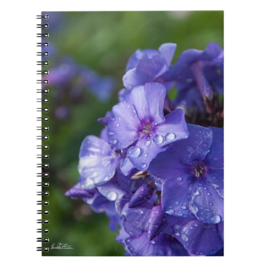 Carnet fleur violet avec la rosée du matin ノートブック (正面)