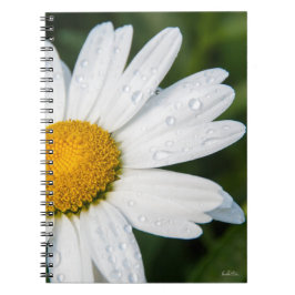 carnet photo marguerite ノートブック