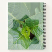 Carnet "Qui est le Créateur?" ノートブック (裏面)