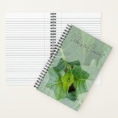 Carnet "Qui est le Créateur?" ノートブック (内側)