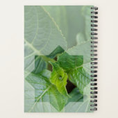 Carnet "Qui est le Créateur?" ノートブック (裏面)