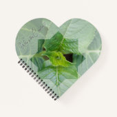 Carnet "Qui est le Créateur?" ノートブック (正面)