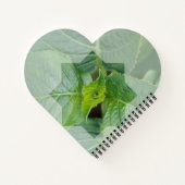 Carnet "Qui est le Créateur?" ノートブック (裏面)