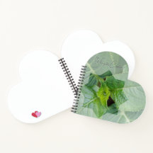 Carnet "Qui est le Créateur?"