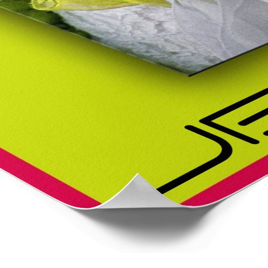 carnival bird nest ポスター (角)