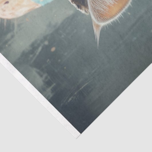 Carnival Cat Decoupage 薄葉紙 (詳細)