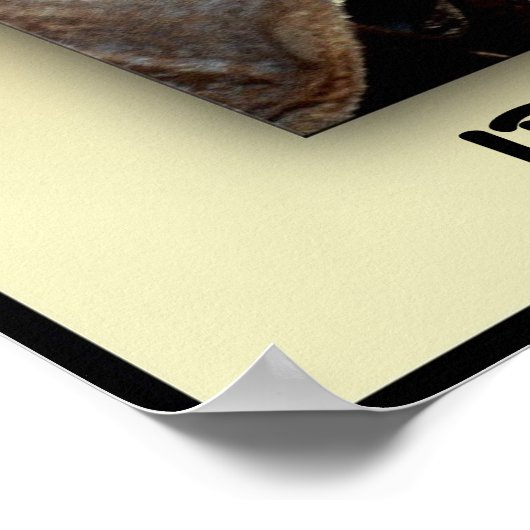 carnival fan ポスター (角)