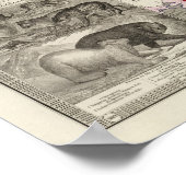 Carnivora ポスター (角)