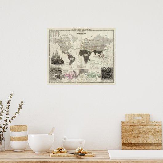 Carnivora ポスター (キッチン)