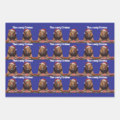 carnivore Wrapping Paper Flat Sheet Set of 3 ラッピングペーパーシート (正面3)