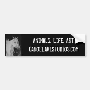 carol湖のスタジオのバンパーステッカー バンパーステッカー