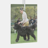 Carol B Newf Puppy Christmas Glass Ornament ガラスオーナメント (正面右)