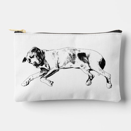 Carol-Quiet Essentials アクセサリーポーチ (正面)