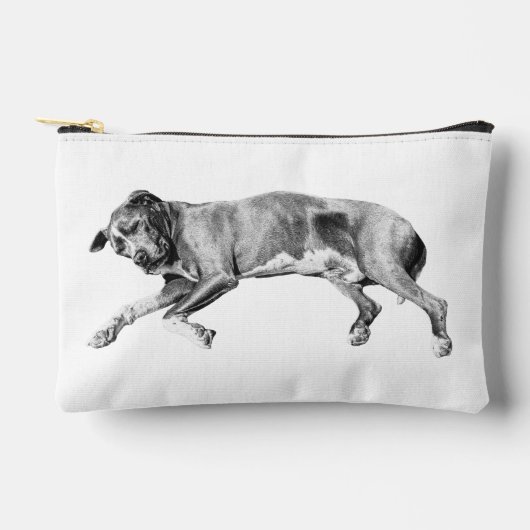 Carol-Quiet Essentials Pouch アクセサリーポーチ (正面)