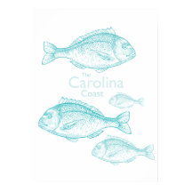 Carolina Coast Vintage Turquoise Saltwater Fish
