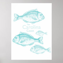 Carolina Coast Vintage Turquoise Saltwater Fish ポスター