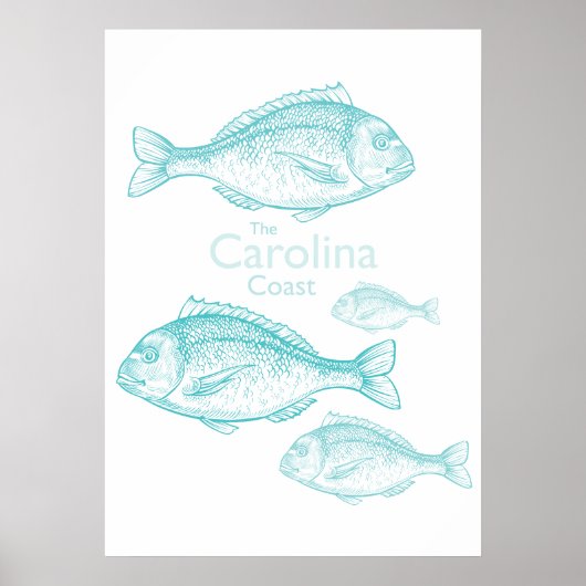 Carolina Coast Vintage Turquoise Saltwater Fish ポスター (正面)