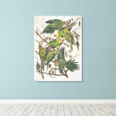 Carolina Parakeet, from 'Birds of America', 1829 キャンバスプリント (インサイチュ (ウッドフロア))